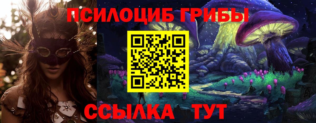 Галлюциногенные грибы Cubensis Кисловодск