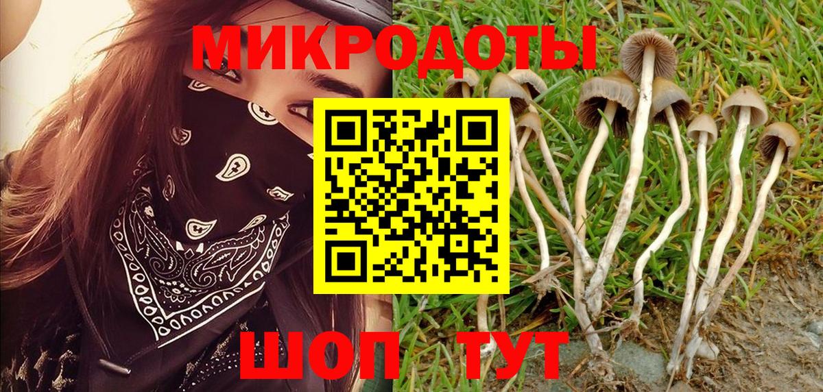 где продают   Галлюциногенные грибы мицелий  Кисловодск  Вход с VPN  Галлюциногенные грибы Cubensis 